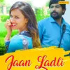 About Jaan Ladli Song